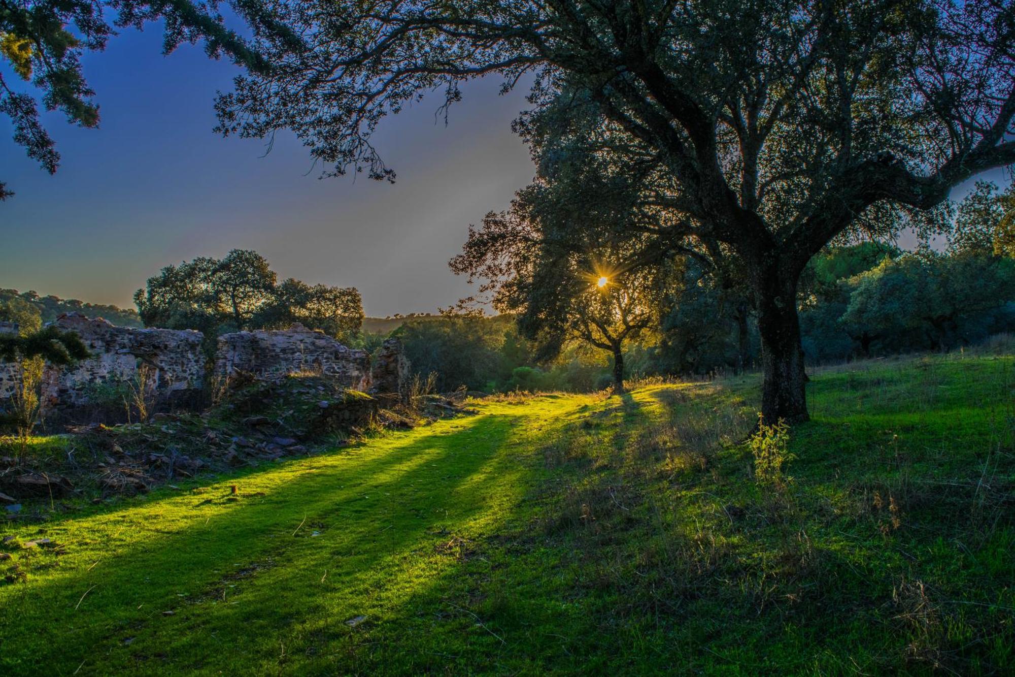 Villamaria, Alma De Despenaperros Miranda del Rey Bagian luar foto