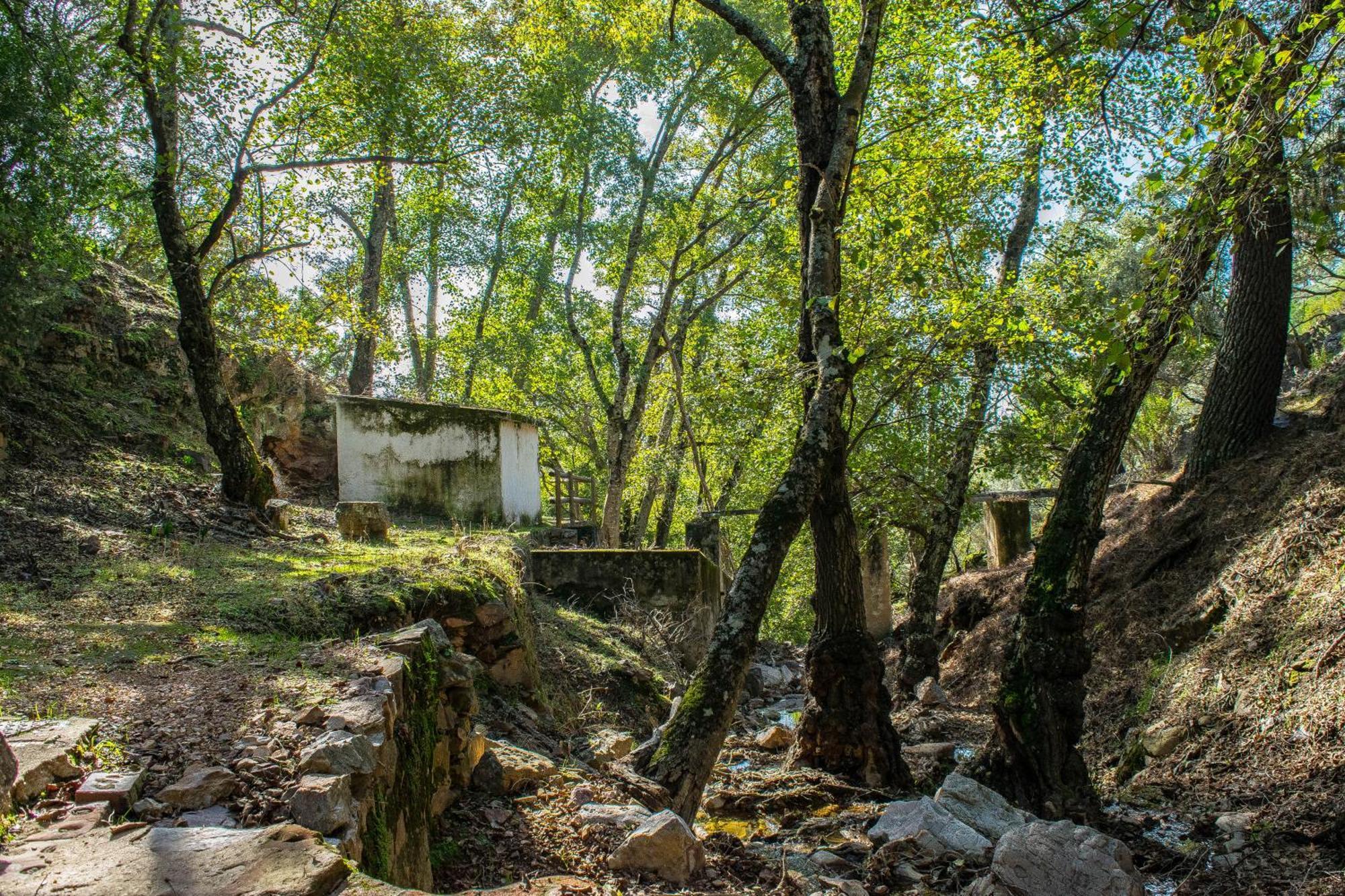 Villamaria, Alma De Despenaperros Miranda del Rey Bagian luar foto