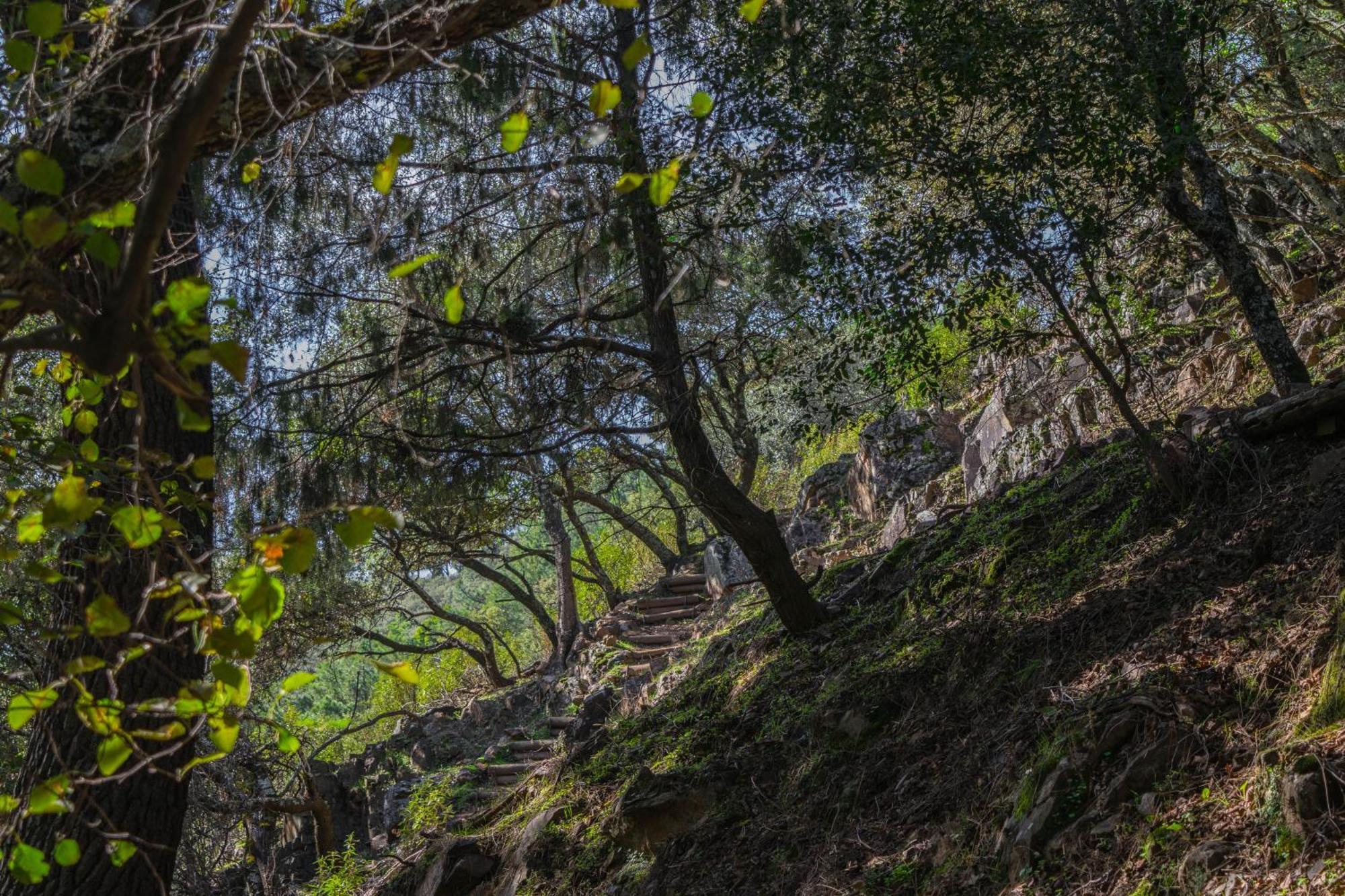 Villamaria, Alma De Despenaperros Miranda del Rey Bagian luar foto